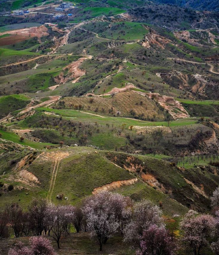 İlan Fotoğrafı